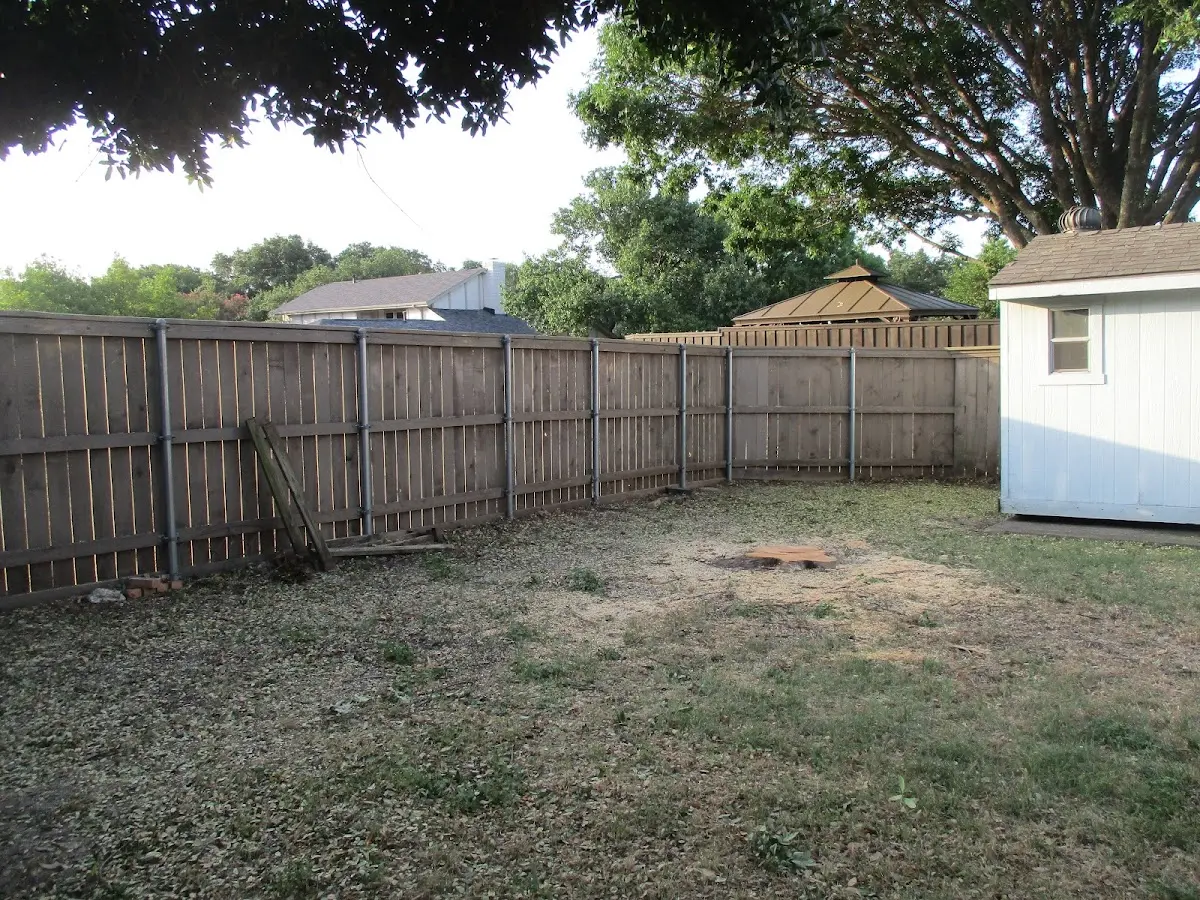 Cleared yard after professional tree removal in Pine River