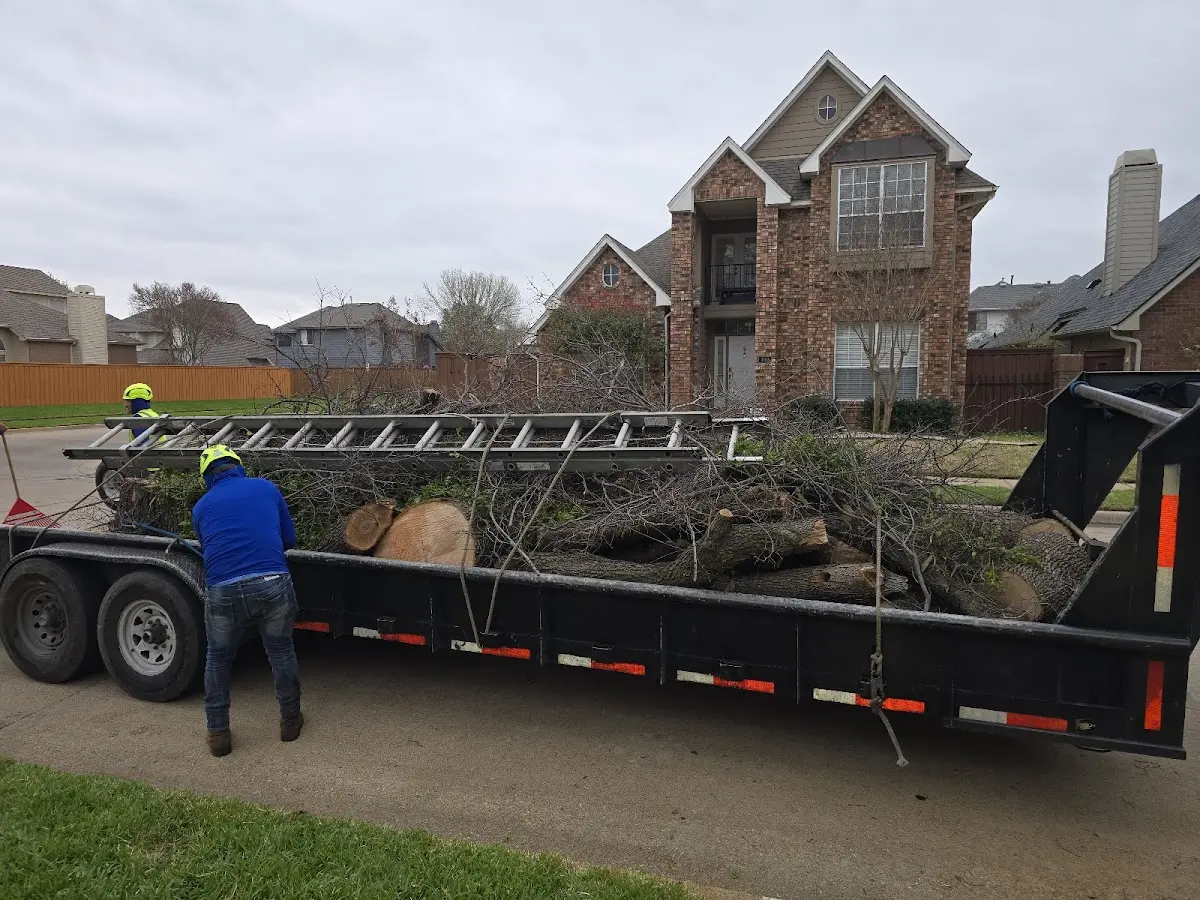 Expert Tree Fertilization with proper safety equipment in Pine River